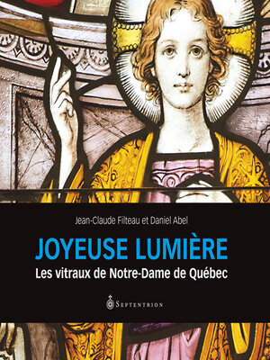 cover image of Joyeuse lumière